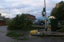 A tree down outside Woodford Station this morning (pic: Kate Nelson)
