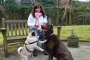 Trica Robinson with dogs Bella and Bailey