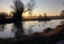 DEFRA has confirmed the cases of avian influenza in Huntingdonshire being centred on the River Great Ouse.