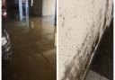 Residents of the Coral Court building in South Woodford are furious that their car park and lift is persistently flooded and full of mold everytime there is heavy rain.