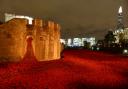 This picture was taken yesterday night. Thousands of People are visiting daily to see the great work of Art of Ceramic Poppy Field at the tower of London.The Scenes during the day and night are different. So it is better to see during the day and the