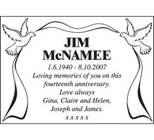 JIM MCNAMEE