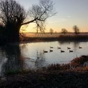 DEFRA has confirmed the cases of avian influenza in Huntingdonshire being centred on the River Great Ouse.