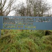 Start 2022 with a winter wildlife walk in Ingrebourne Valley at Hornchurch Country Park