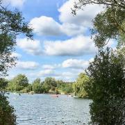 Redbridge Youth Council went on a nature walk at Fairlop Waters Country Park