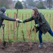 Paul Samuels from South Park User Group and nature conservation ranger Anna MacLaughlin helped plant more than 600 trees in South Park as part of the borough's first Tiny Forest.