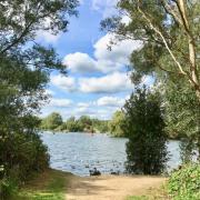 Longtime Aldborough Hatch resident Ron Jeffries talks about how Fairlop Waters Country Park became a countryside haven in Redbridge. Picture: Ron Jeffries