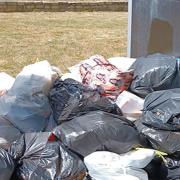 Bags of waste were found illegally dumped in South Park, Ilford