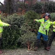 Volunteers from Haven House ready to collect your Christmas tree